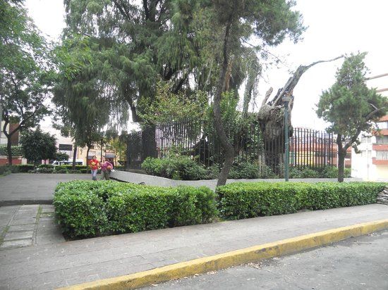 El Ángel de la Independencia